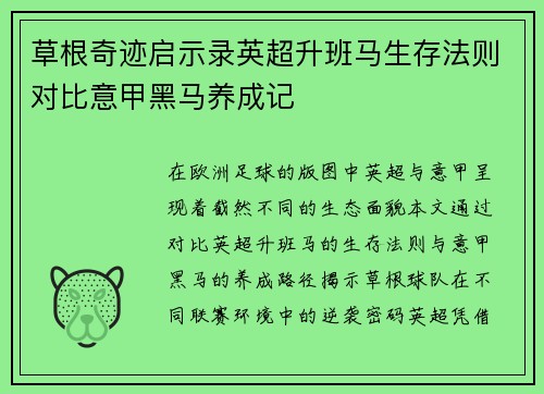 草根奇迹启示录英超升班马生存法则对比意甲黑马养成记