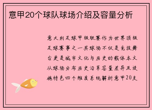 意甲20个球队球场介绍及容量分析