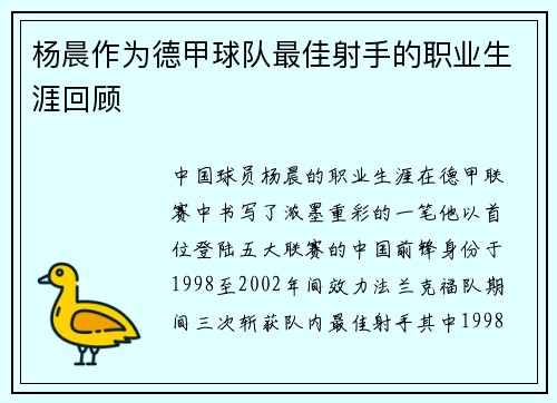 杨晨作为德甲球队最佳射手的职业生涯回顾