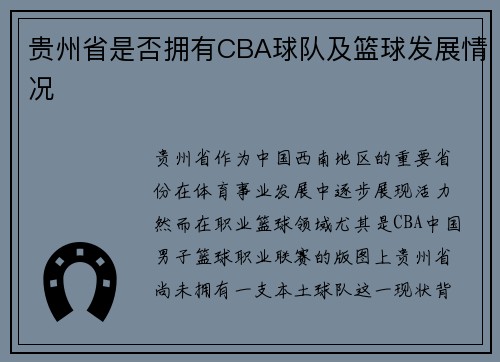 贵州省是否拥有CBA球队及篮球发展情况